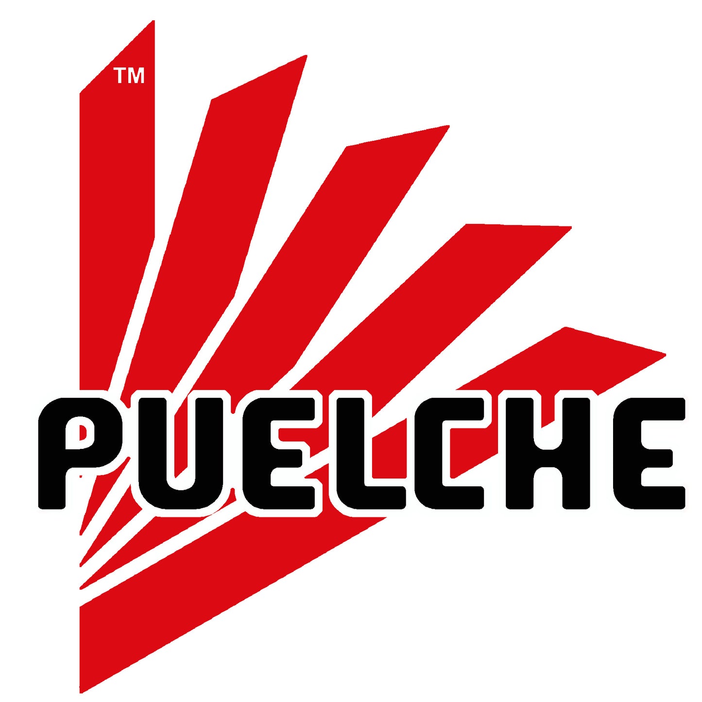 Logo of Puelche dryer with "dropping peg" and Puelche name